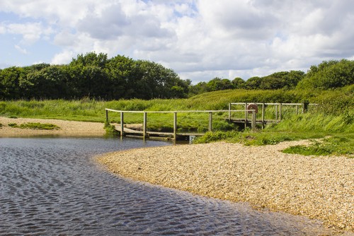 Solent Way