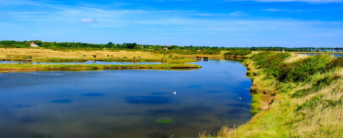 Keyhaven, Hampshire